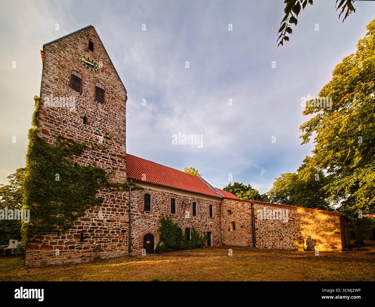 Storica chiesa in pietra con torre ricoperta di edera al sole serale vicino ai campi nella campagna di Plotzky in Germania. Foto Stock