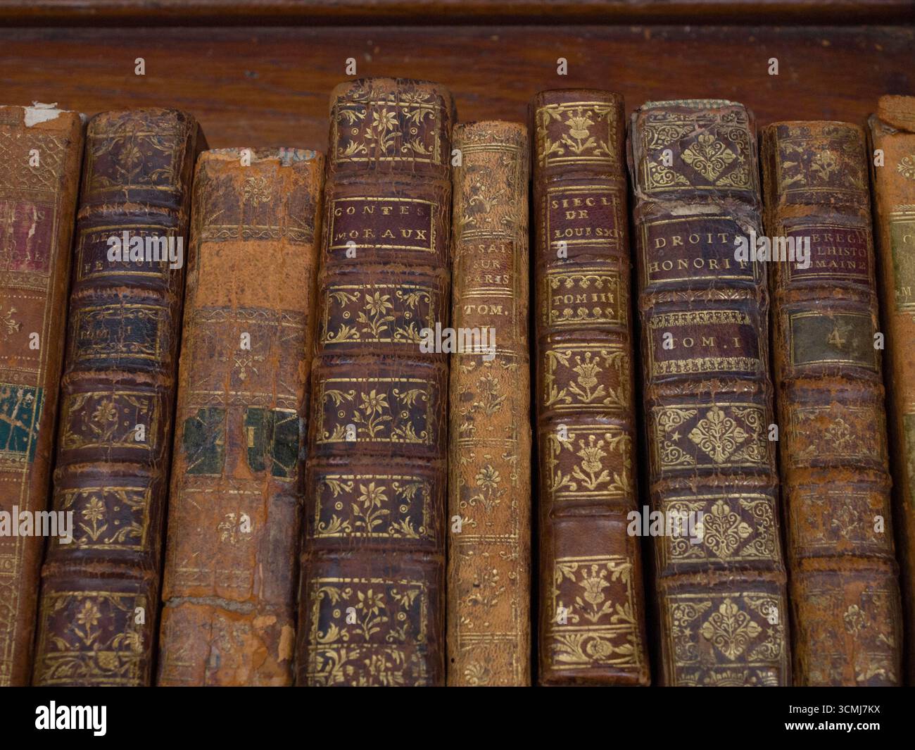 Vecchi libri a Passage Verdeau, Parigi, Francia Foto Stock