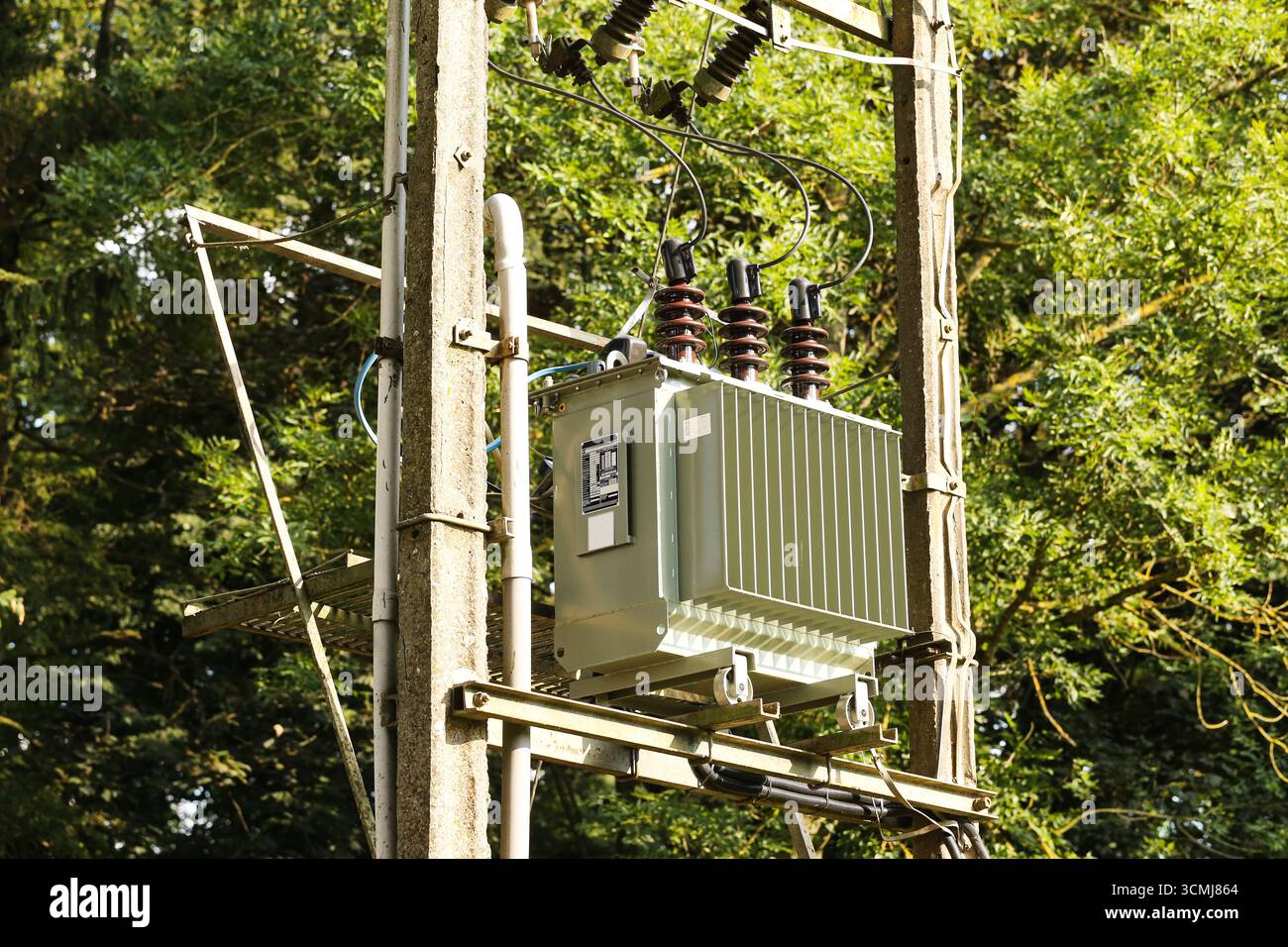 Trasformatore elettrico sul polo di pubblica utilità. Sistema di distribuzione dell'alimentazione nelle aree urbane. Apparecchiature ad alta tensione con cavi. Infrastrutture elettriche Foto Stock