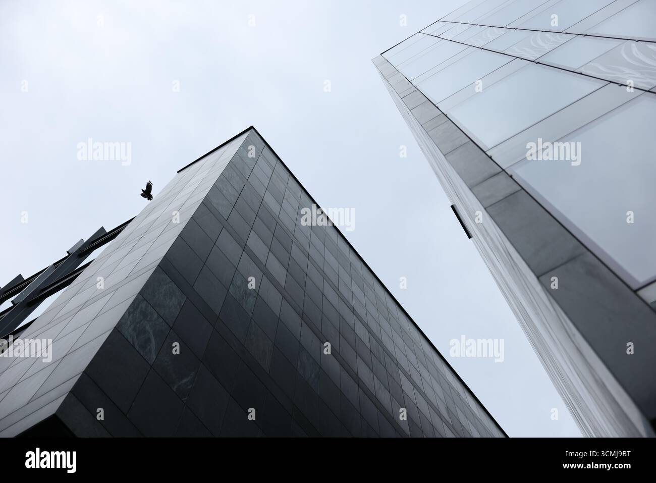 Moderno edificio di uffici con spettacolare vista angolare verso l'alto su Varsavia, Polonia Foto Stock