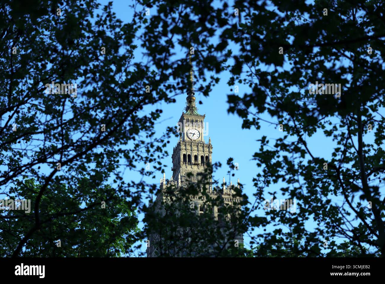 Palazzo della Cultura di Varsavia: Silhouette attraverso alberi blu, torre iconica, grafica creativa della città Foto Stock