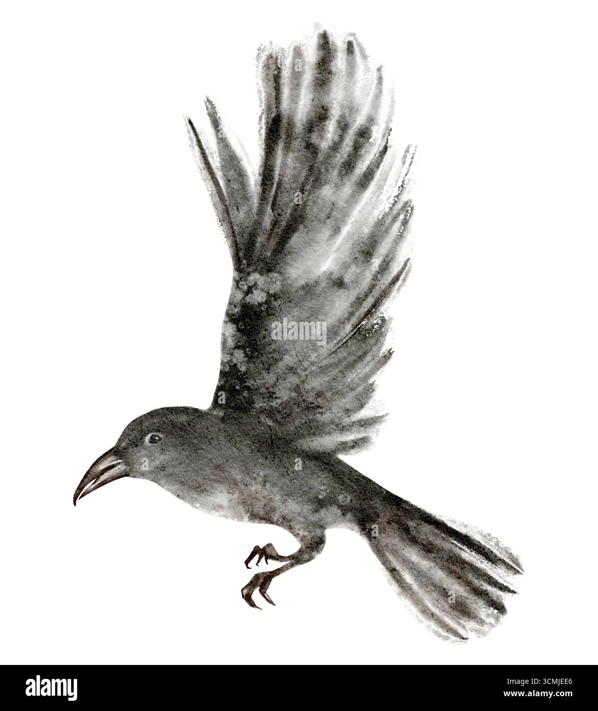 Disegno ad acquerello di corvo nero con ali estese. Uccello selvatico in volo isolato sul bianco, simbolo dell'arte gotica, tatuaggio, emblema, natura, ornitologia, Foto Stock