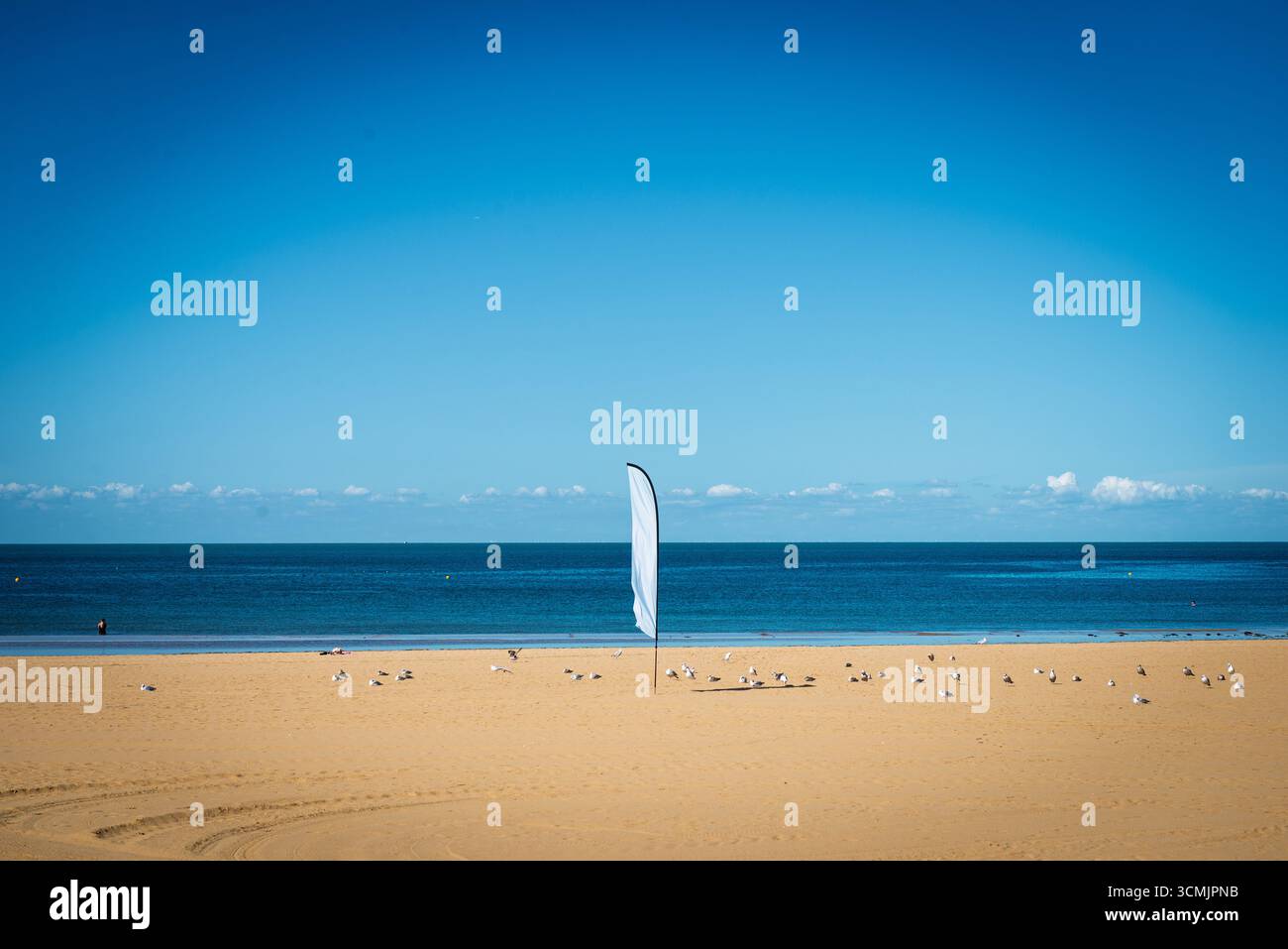 Gabbiani su una tranquilla spiaggia di sabbia con bandiere bianche sotto un cielo azzurro Foto Stock