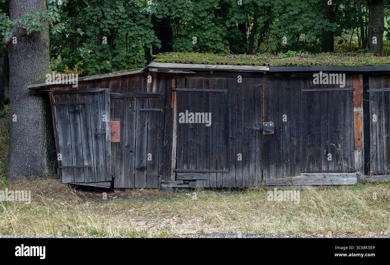 Capannone di legno intempestivo circondato da alberi verdi in una foresta Foto Stock