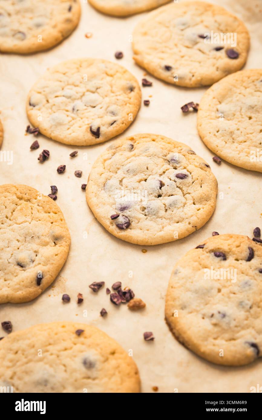 Biscotti freschi con chip di cioccolato su teglia da forno Foto Stock
