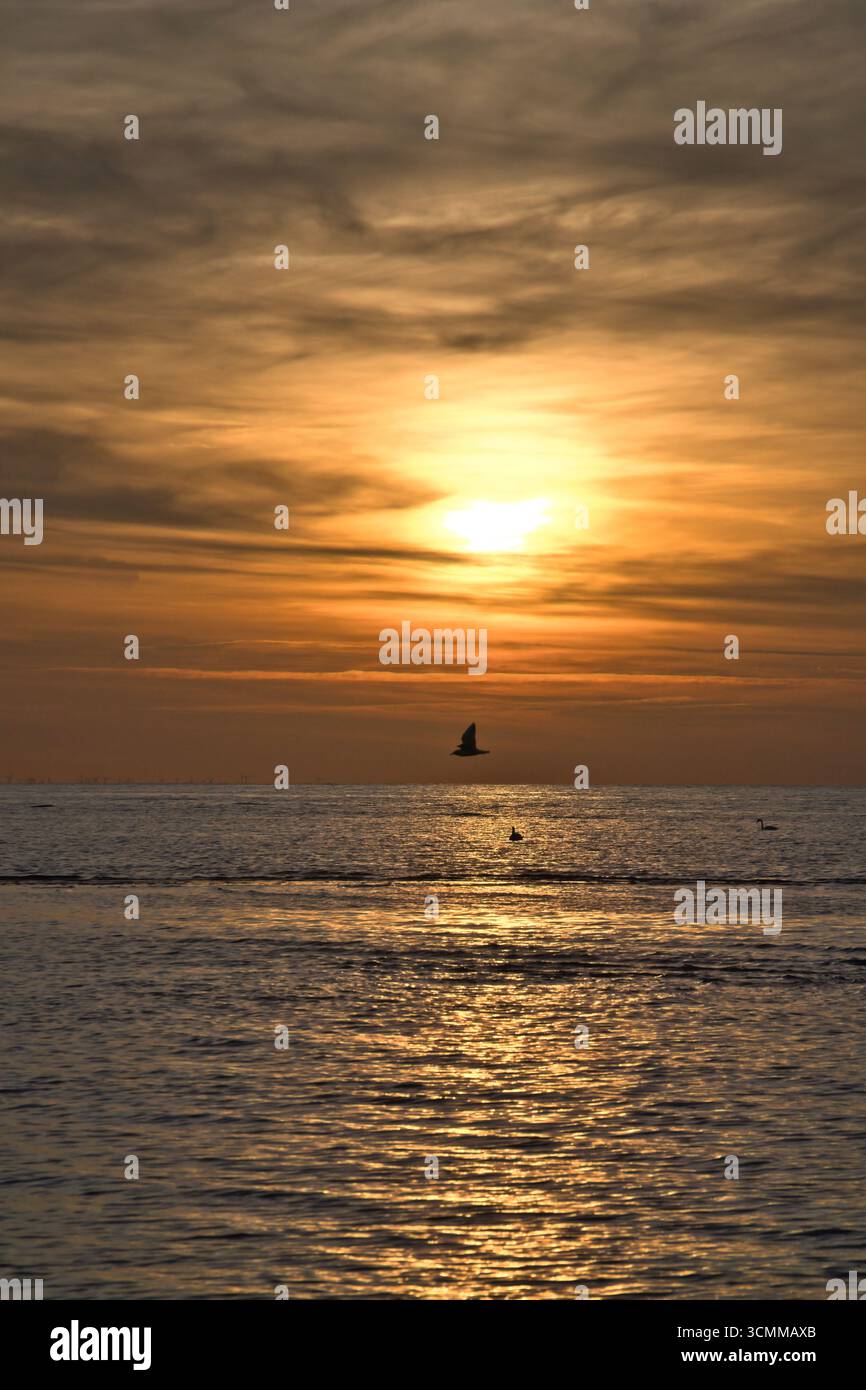 Caldo tramonto sull'oceano calmo con riflessi dorati e onde dolci, atmosfera tranquilla e varietà di colori naturali Foto Stock