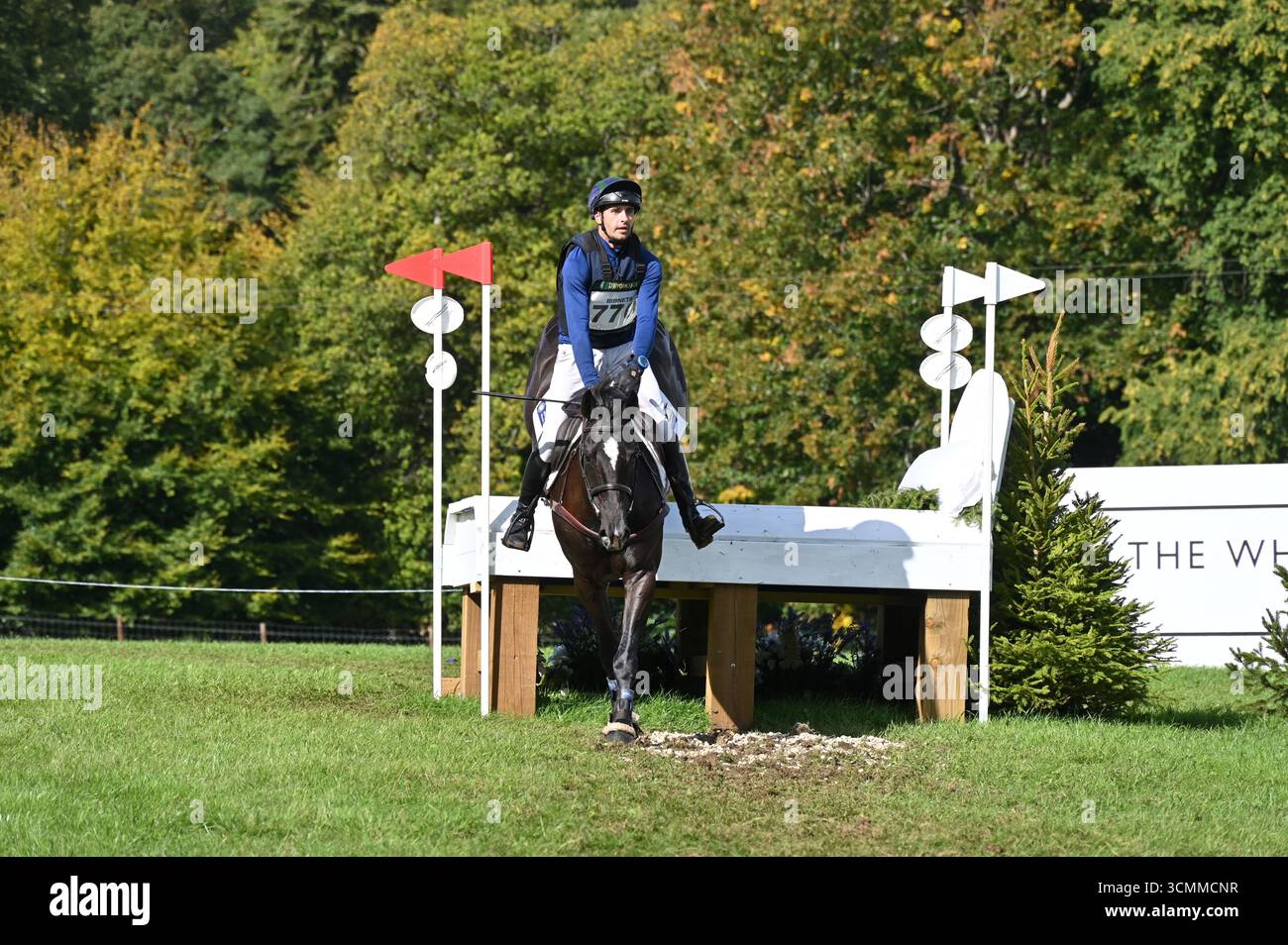 Sam Gillespie on la Belle au Bois, Cross Country Phase of the CCI-S YH2* (6YO) Competition, Cornbury Horse Trials 2025, Charlbury, Oxfordshire. Questo W Foto Stock