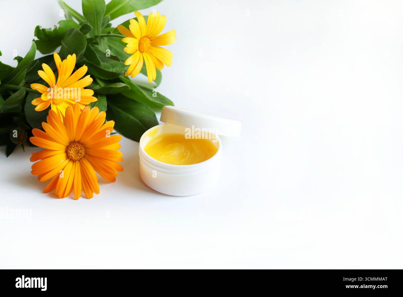 Crema di calendula e fiori di calendula officinalis isolati su sfondo bianco. Unguento Calendula. Medicina omeopatica. Copia spazio. Foto Stock