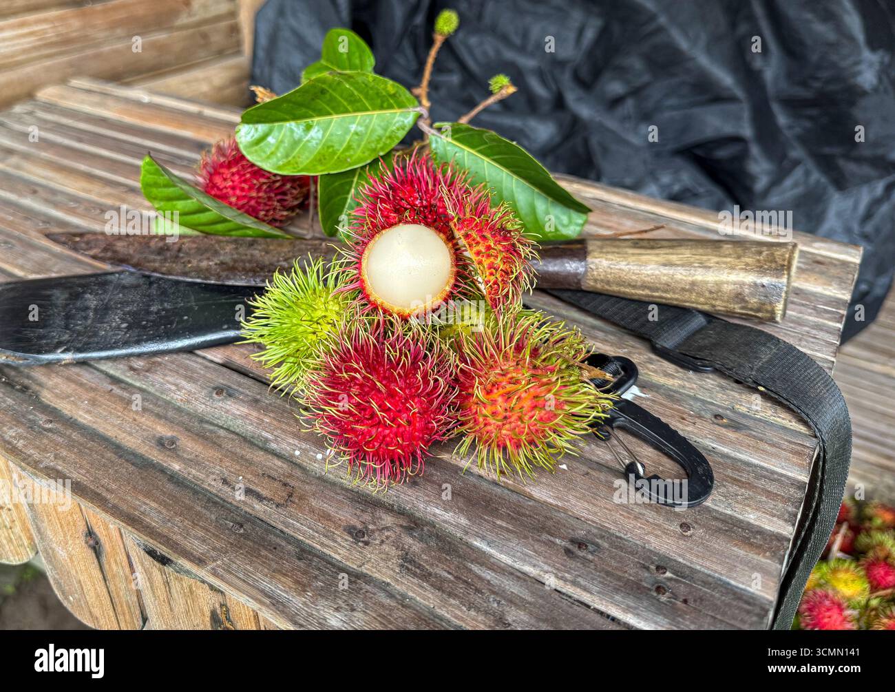 Rosario, Provincia di Batangas, Filippine. 17 settembre 2025. I frutti di rambutan freschi raccolti durante il monsone sudoccidentale, localmente noti come habagat, sono esposti con un frutto aperto che mostra la sua succosa polpa bianca. Accanto a loro si trova un itak tradizionale, un coltello da bolo filippino ampiamente utilizzato dagli agricoltori per tagliare rami e raccogliere frutta. Il rambutan è ampiamente coltivato nella regione di Calabarzon e i ricercatori del Dipartimento di Ingegneria chimica e alimentare della Batangas State University hanno studiato il potenziale uso dell'olio di semi di rambutan per la produzione di biodiesel.credito: Kevin Izorce/Alamy Live News Foto Stock