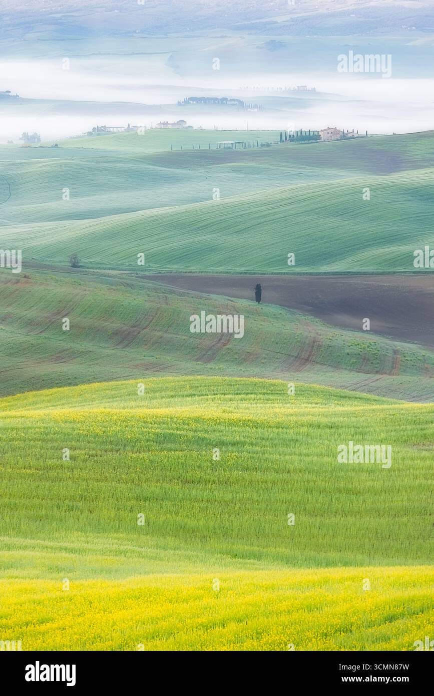 Tipico paesaggio toscano con nebbia sulle colline all'alba di maggio con verdi freschi - Val d'Orcia, Toscana, Italia, Europa Foto Stock Tipico paesaggio toscano con nebbia sulle colline all'alba di maggio con verdi freschi - Val d'Orcia, Toscana, Italia, Europa Foto Stock