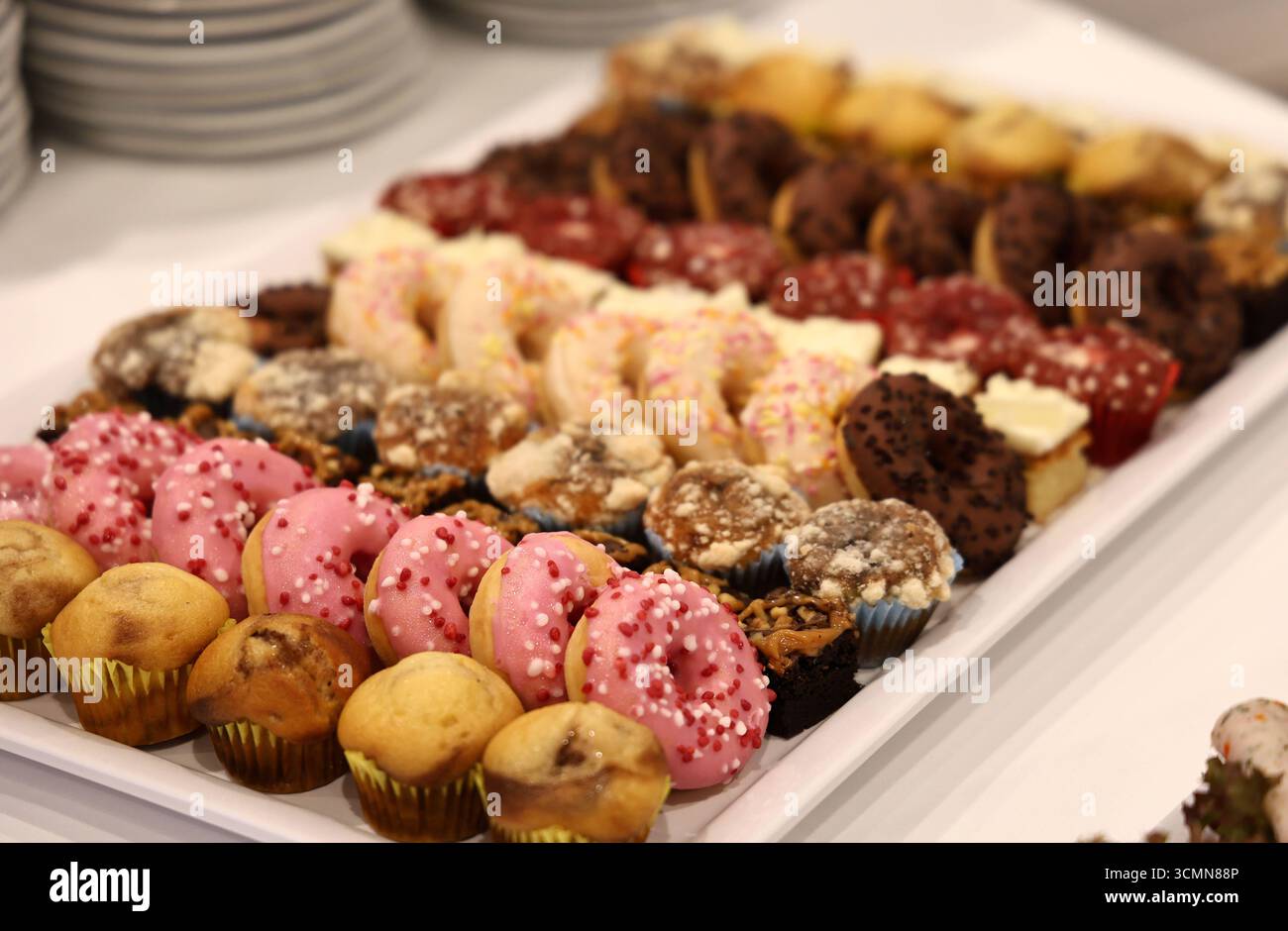 Gebaeck 16.09.2025, Erfurt, muffin und Donuts wurden dekorativ auf einer Platte angerichtet / praesentiert *** Gebaeck 16 09 2025, Erfurt, muffin e ciambelle sono stati presentati decorativamente su un piatto Foto Stock