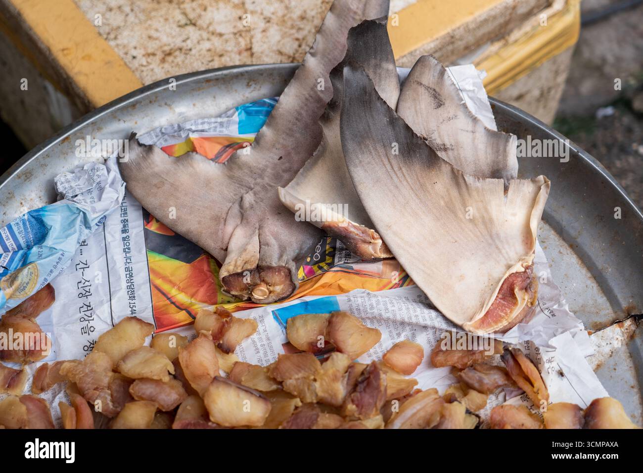 Hatyai, Thailandia - 26 agosto 2024 : pinne di squalo illegali vendute in un mercato tradizionale, che mette in evidenza il traffico di animali selvatici e pratiche controverse Foto Stock