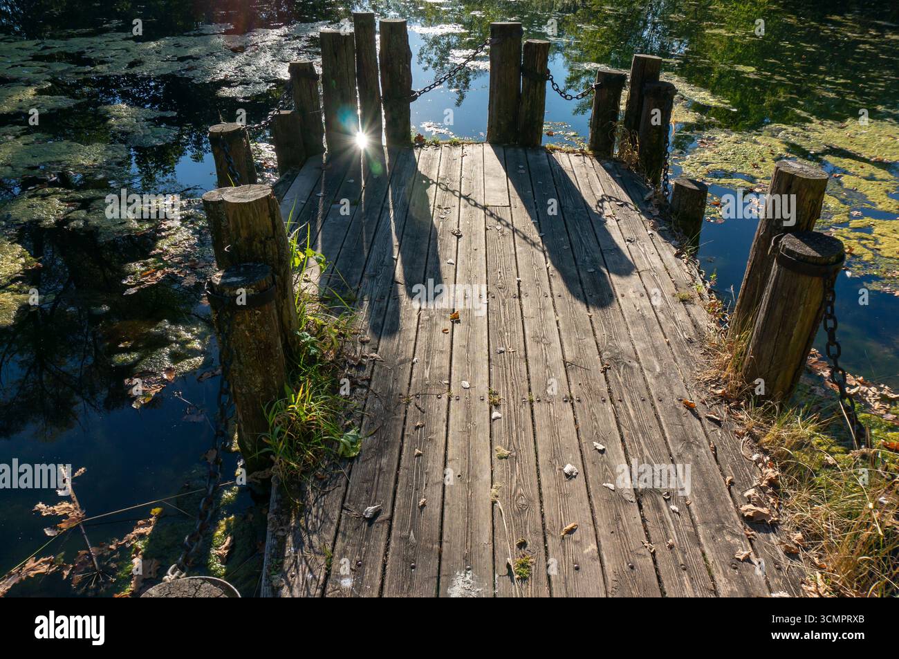 Terrazza panoramica dello stagno, parte in legno dal design complessivo che si fonde con il paesaggio circostante e la luce del sole. Foto Stock