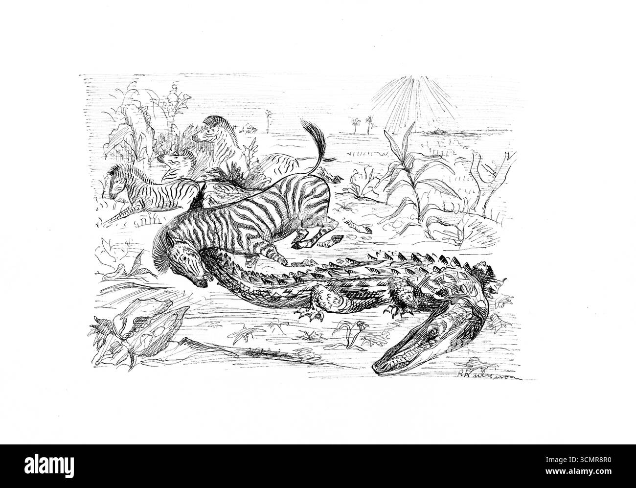 African Animals di Arnold Peter Weisz Kubincan, fine Art Drawing of Wildlife, Public Domain Heritage Illustration Foto Stock