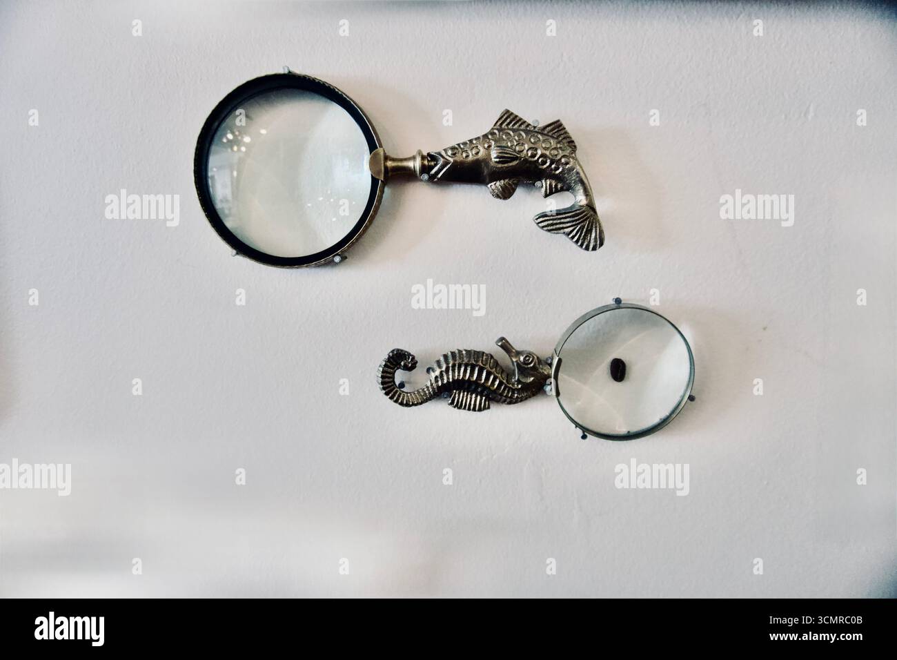 Lenti d'ingrandimento nautiche con manici per pesci e cavallucci marini su una parete bianca Foto Stock