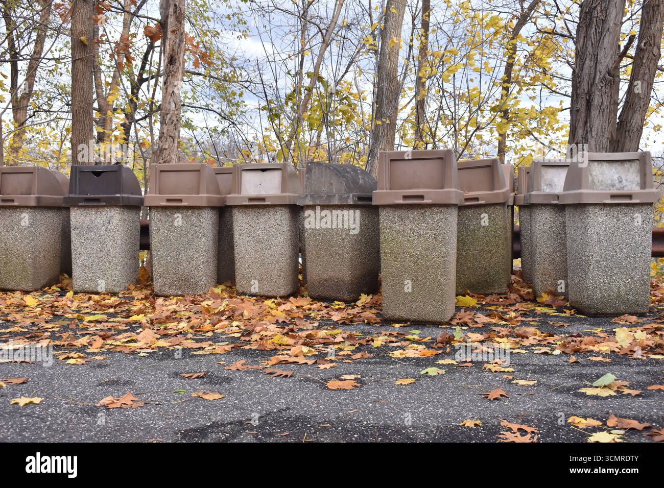 Bidoni per la spazzatura allineati lungo il sentiero forestale in autunno, bidoni in cemento Foto Stock