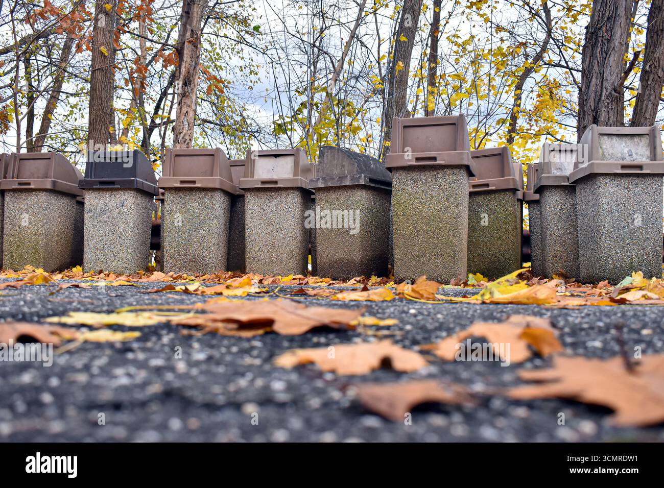 Bidoni per la spazzatura allineati lungo il sentiero forestale in autunno, bidoni in cemento Foto Stock