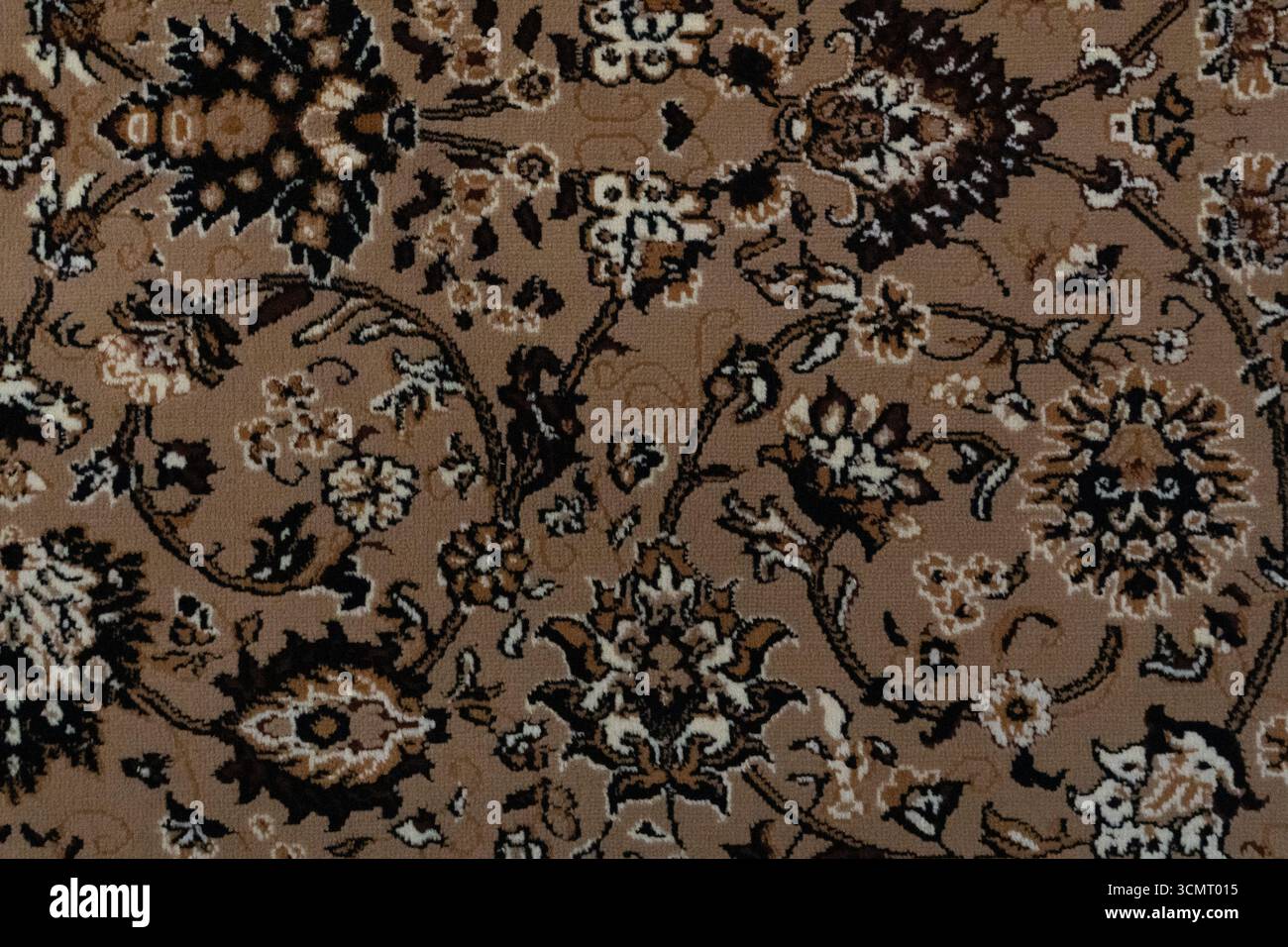 Primo piano di un tappeto floreale vintage nelle tonalità di marrone, beige, nero e bianco, con motivi intrecciati e tufted, ideale per gli sfondi, te Foto Stock