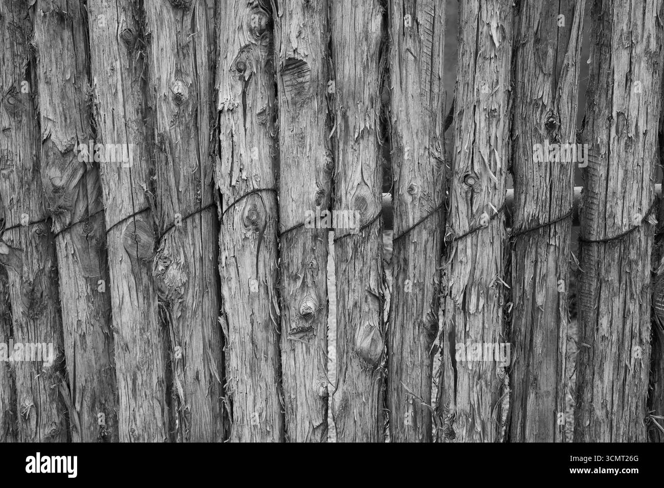 recinzione di legno creata con piccoli tronchi di alberi avvolti o legati insieme con filo grunge corteccia di alberi testurizzata sfondo di prodotto naturale Foto Stock