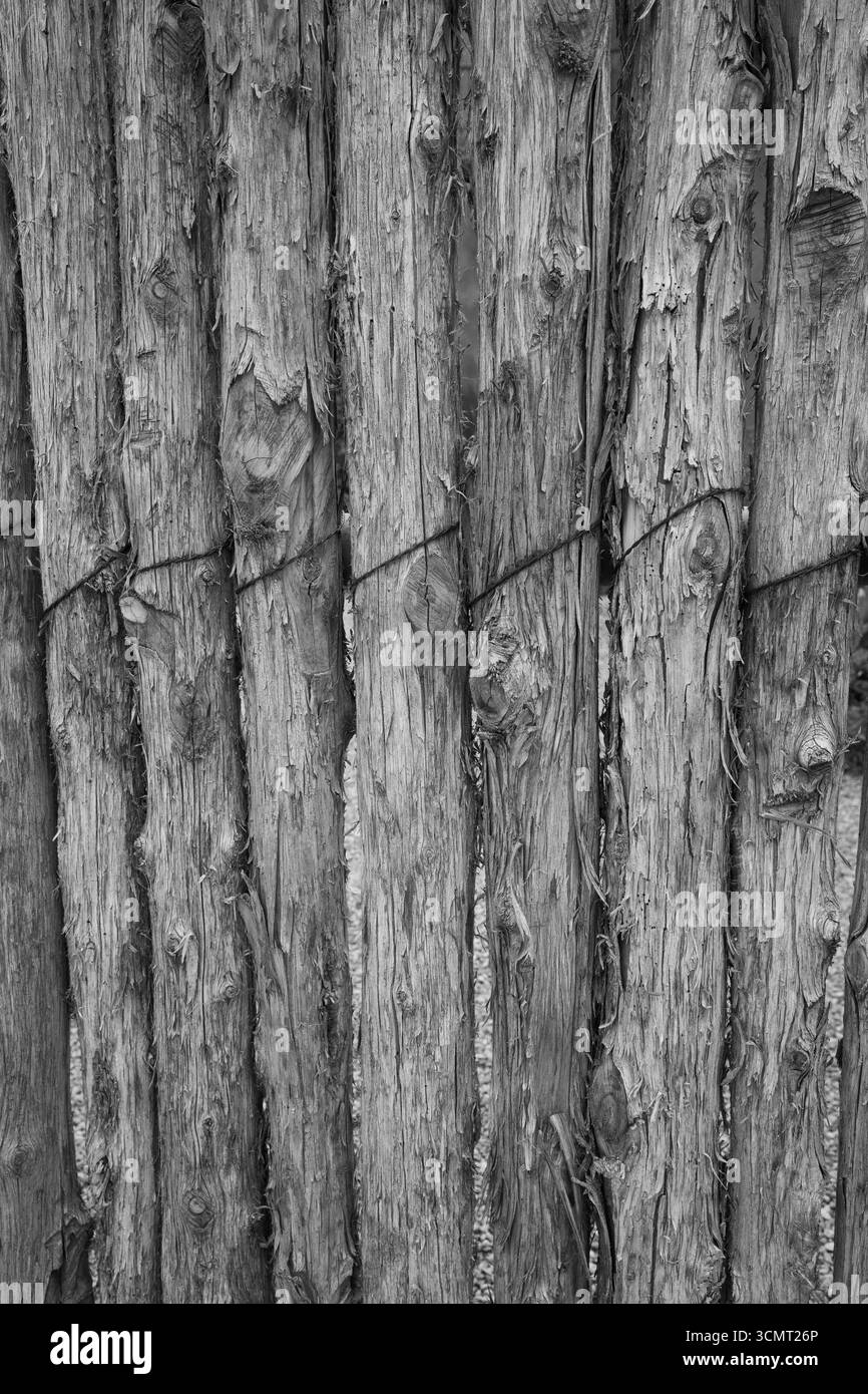 recinzione in legno creata con piccoli tronchi d'albero avvolti o legati insieme con filo grunge fondo di prodotto naturale testurizzato o carta da parati Foto Stock