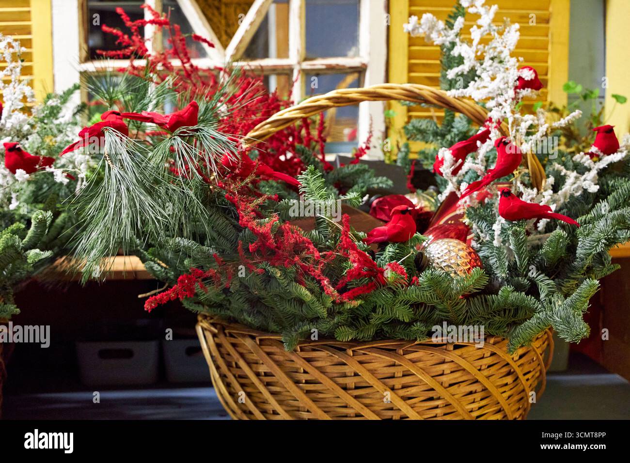 Grande cestino natalizio con rami di pino, cardinali rossi, ornamenti e vegetazione invernale. Una luminosa disposizione floreale natalizia che simboleggia le festività spir Foto Stock