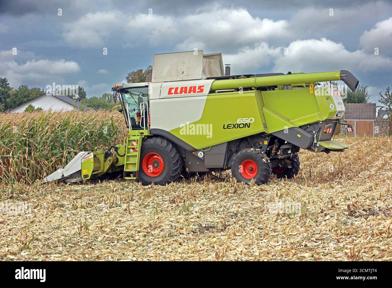Mais während der Ernte. BEARBEITET: Erntezeit vom Mais gegen Ende September mit einem großen Mähdrescher des Herstellers Claas, der mit einem Maisgebiss ausgestattet ist. *** Granturco durante il raccolto LAVORATO tempo di raccolta del mais verso la fine di settembre con una grande mietitrebbia del produttore Claas, che è dotata di una testata mais Foto Stock