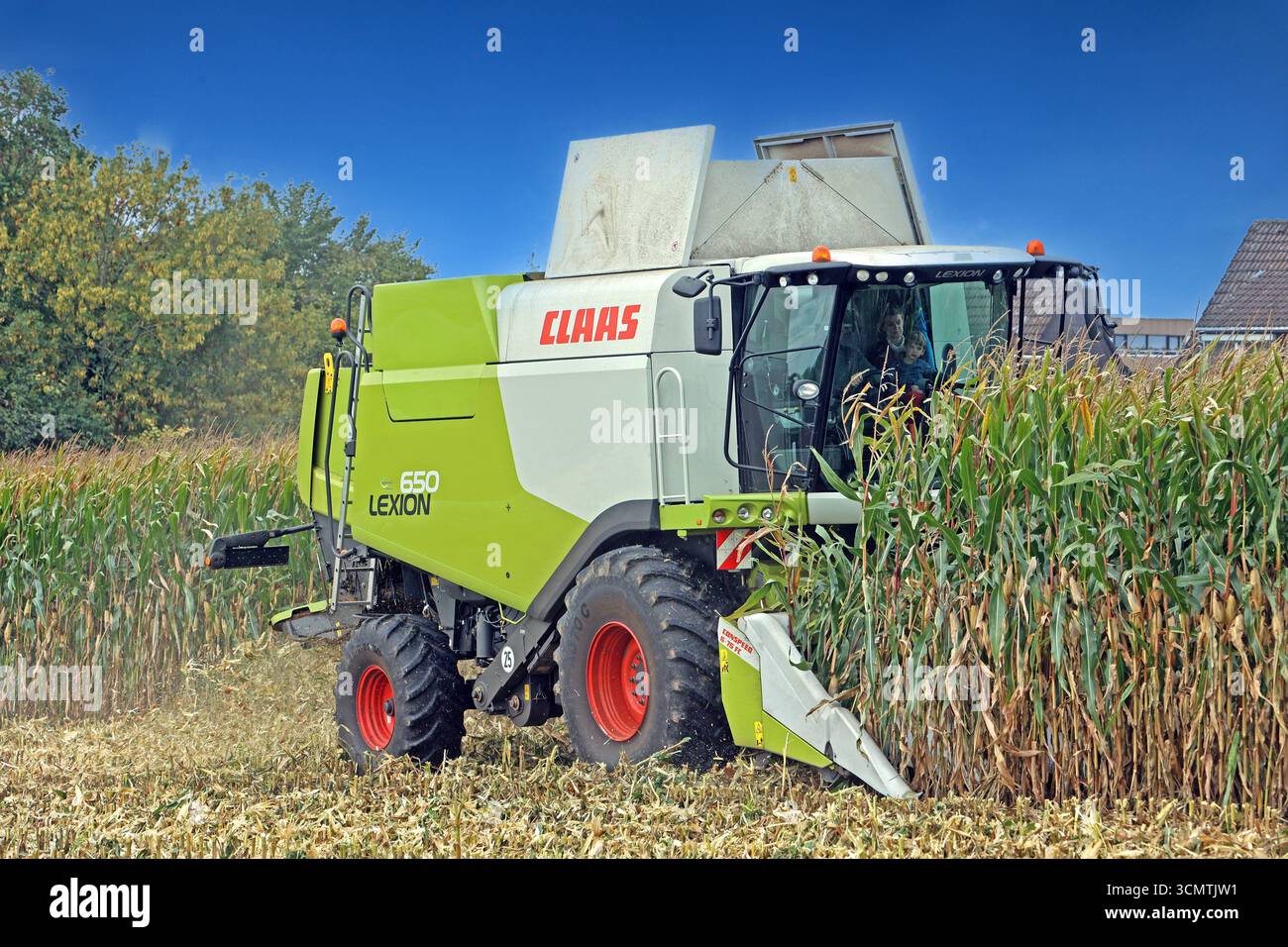 Mais während der Ernte. BEARBEITET: Erntezeit vom Mais gegen Ende September mit einem großen Mähdrescher des Herstellers Claas, der mit einem Maisgebiss ausgestattet ist. *** Granturco durante il raccolto LAVORATO tempo di raccolta del mais verso la fine di settembre con una grande mietitrebbia del produttore Claas, che è dotata di una testata mais Foto Stock