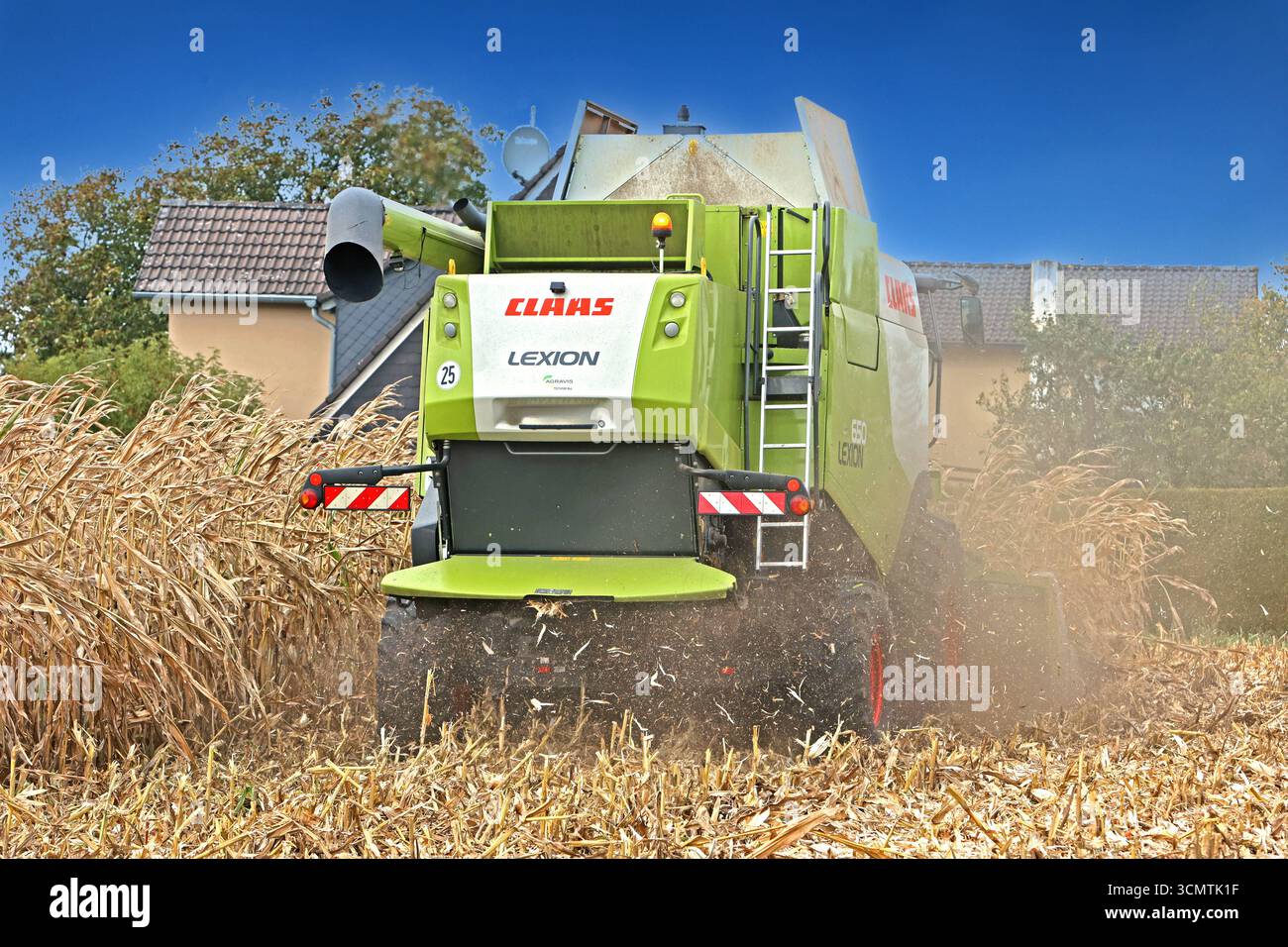 Mais während der Ernte. BEARBEITET: Erntezeit vom Mais gegen Ende September mit einem großen Mähdrescher des Herstellers Claas, der mit einem Maisgebiss ausgestattet ist. *** Granturco durante il raccolto LAVORATO tempo di raccolta del mais verso la fine di settembre con una grande mietitrebbia del produttore Claas, che è dotata di una testata mais Foto Stock