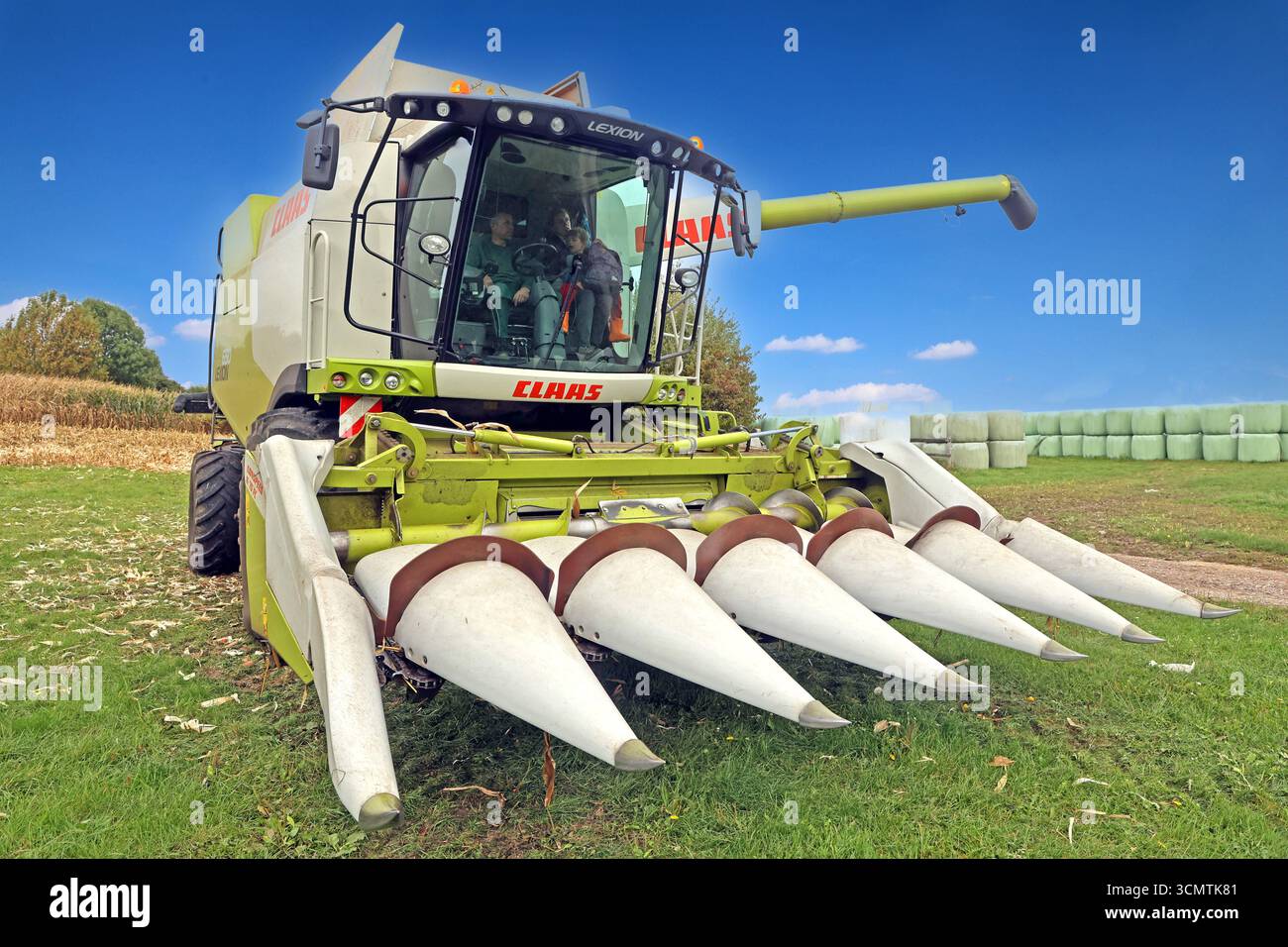 Mais während der Ernte. BEARBEITET: Erntezeit vom Mais gegen Ende September mit einem großen Mähdrescher des Herstellers Claas, der mit einem Maisgebiss ausgestattet ist. *** Granturco durante il raccolto LAVORATO tempo di raccolta del mais verso la fine di settembre con una grande mietitrebbia del produttore Claas, che è dotata di una testata mais Foto Stock