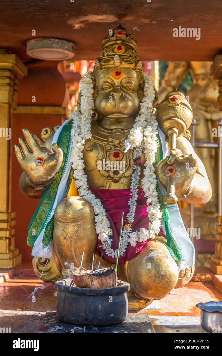 Sri Lanka - Tempio di Seetha Amman - Statua di Hanuman - divinità indù con offerte sacre Foto Stock