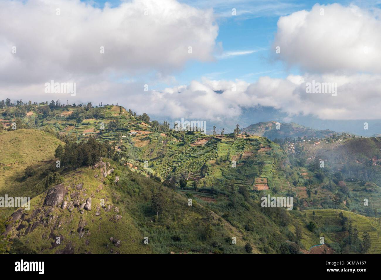 Sri Lanka - Padinawela - Vista delle Highland - ampia vista sulle verdi colline terrazzate Foto Stock