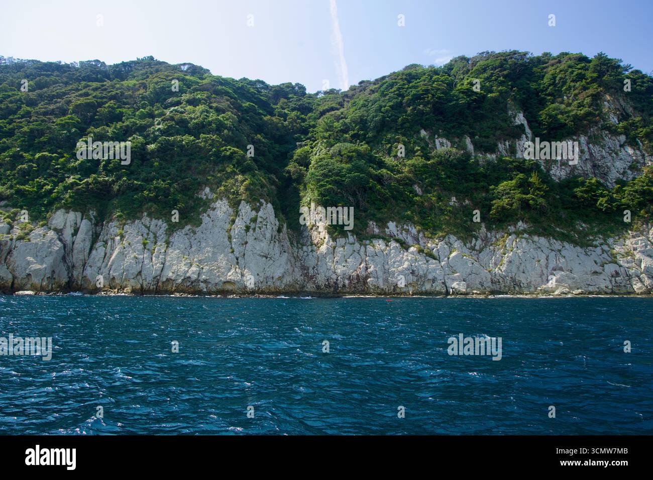 La fitta foresta costiera drappeggia sulle bianche scogliere vulcaniche di Munseom, dove la costa incontra l'acqua del vento sotto un luminoso cielo di tarda estate. Foto Stock