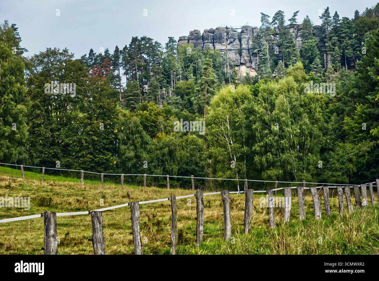 Prato verde che confina con recinzione in legno intempestivo, formazioni rocciose di arenaria che si innalzano drammaticamente dietro, catturando il paesaggio panoramico dello switzerlan bohémien Foto Stock