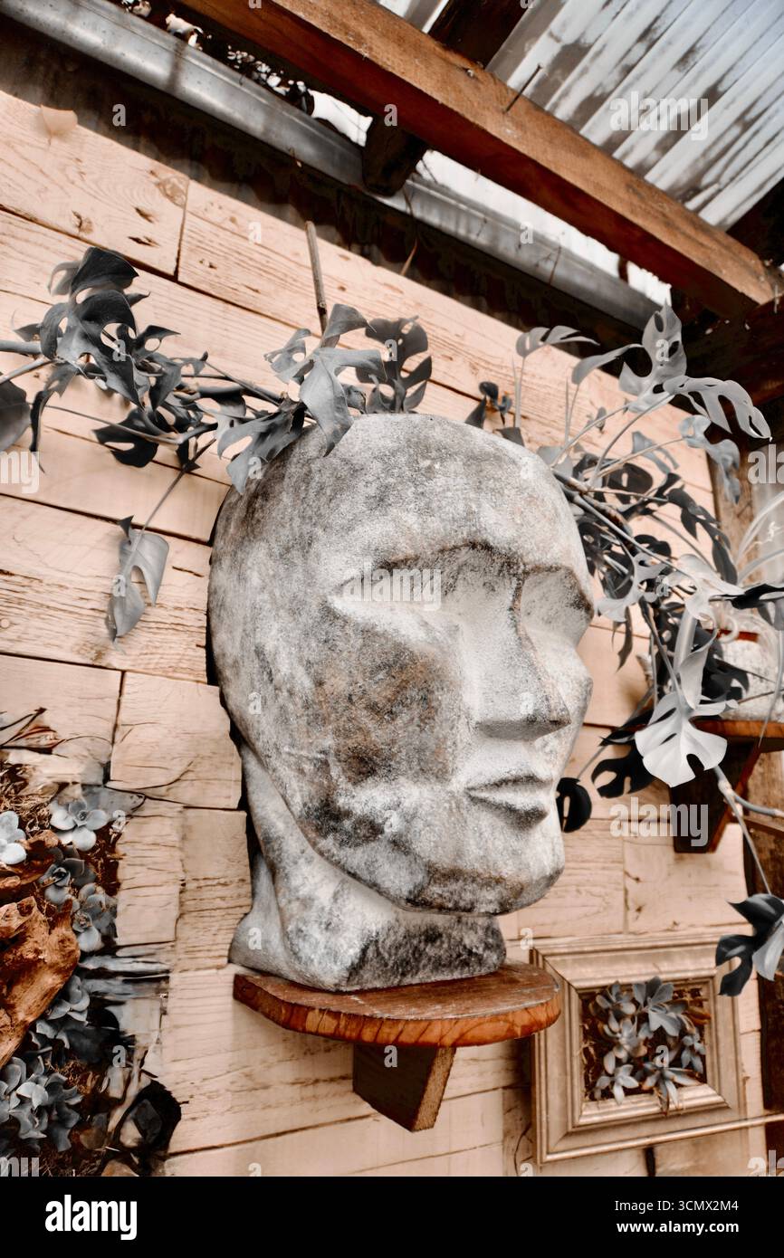 Piantatrice a testa in pietra con fogliame su pareti in legno rustico Foto Stock