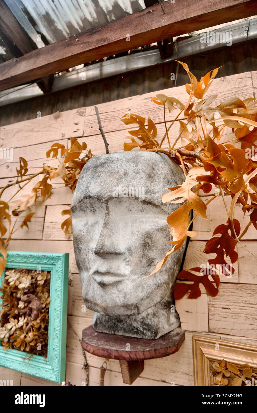 Piantatrice a testa in pietra con fogliame su pareti in legno rustico Foto Stock