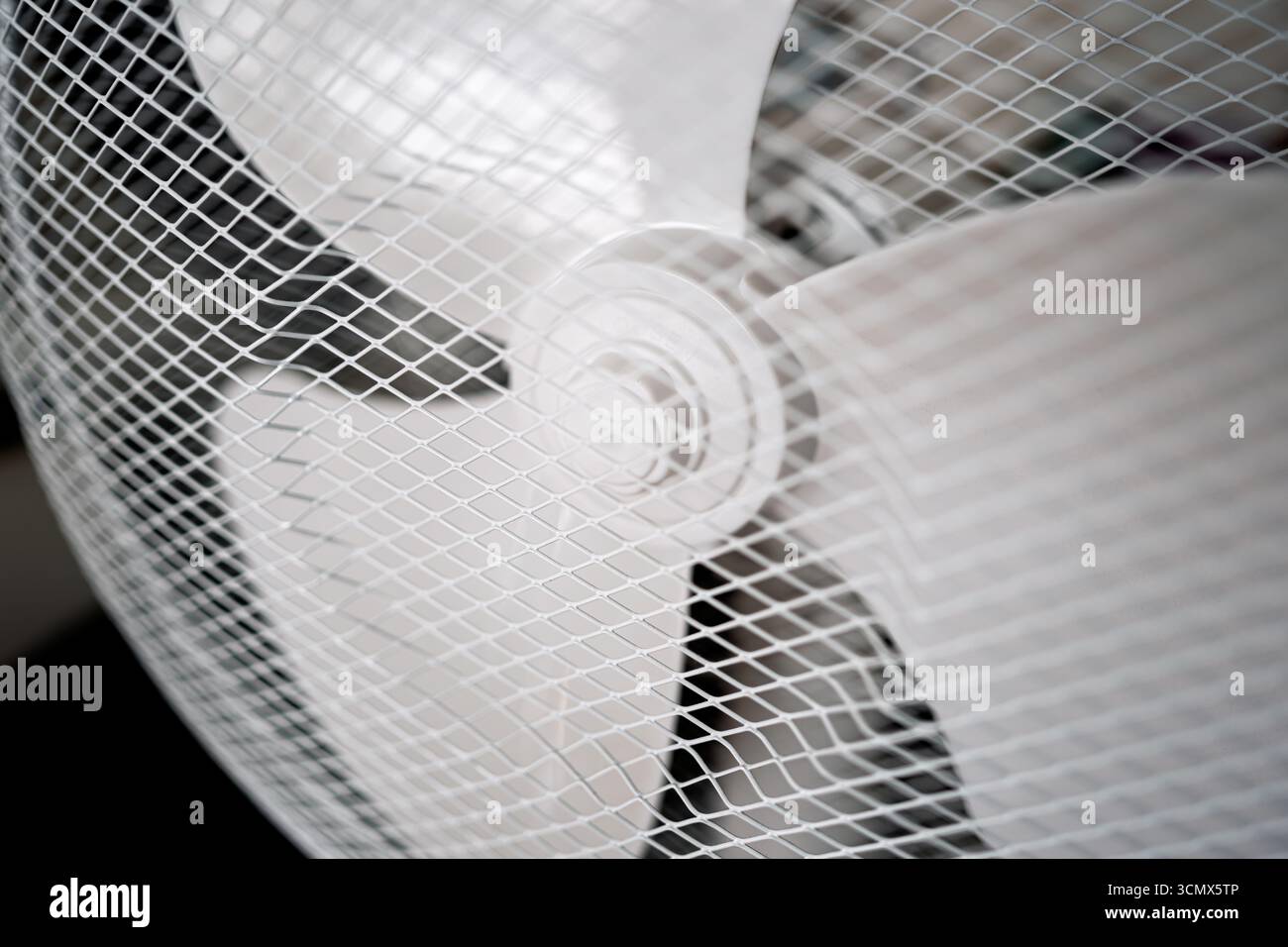 Primo piano delle pale dei ventilatori domestici dietro la rete protettiva, profondità ridotta Foto Stock