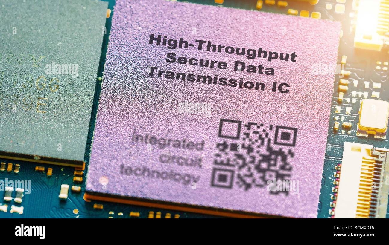 L'IC per la trasmissione sicura dei dati ad alta velocità gestisce il flusso di dati crittografati su larga scala in ambienti sicuri. Circuiti integrati Foto Stock