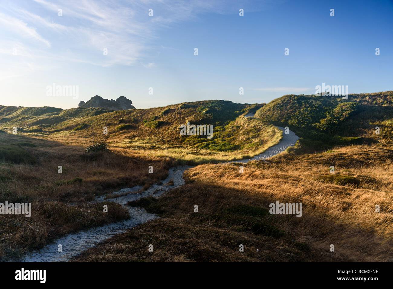 Sentiero di montagna al tramonto che illumina Grassy Ridge e Distant Peaks, South Island, nuova Zelanda Foto Stock