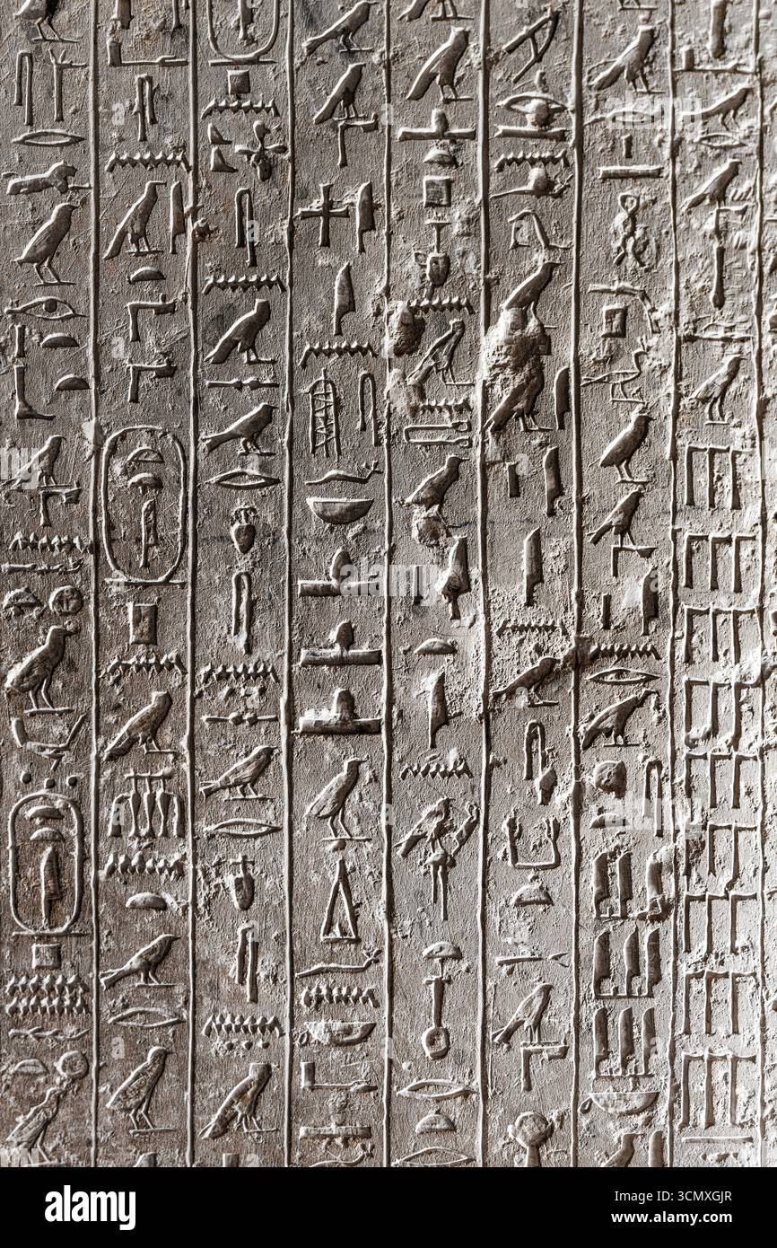 Antichi geroglifici egiziani sulle pareti all'interno della Piramide di Teti, Necropoli di Saqqara, Egitto Foto Stock