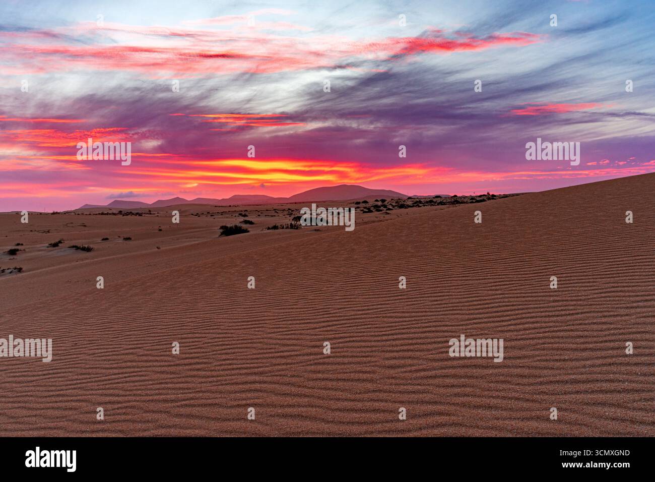 Cielo ardente al tramonto su dune di sabbia modellate dal vento, Parco naturale di Corralejo, Fuerteventura, Isole Canarie, Spagna Foto Stock