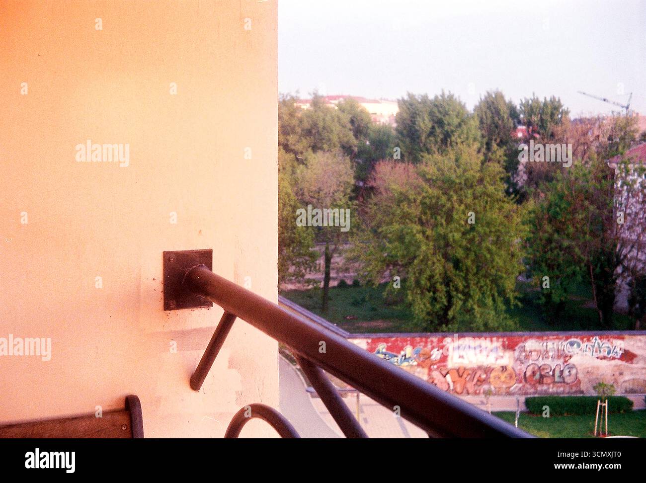 Alberi urbani circondati da edifici. Le cime verdi degli alberi sorgono tra l'architettura della città, mescolando natura e vita urbana. Foto Stock