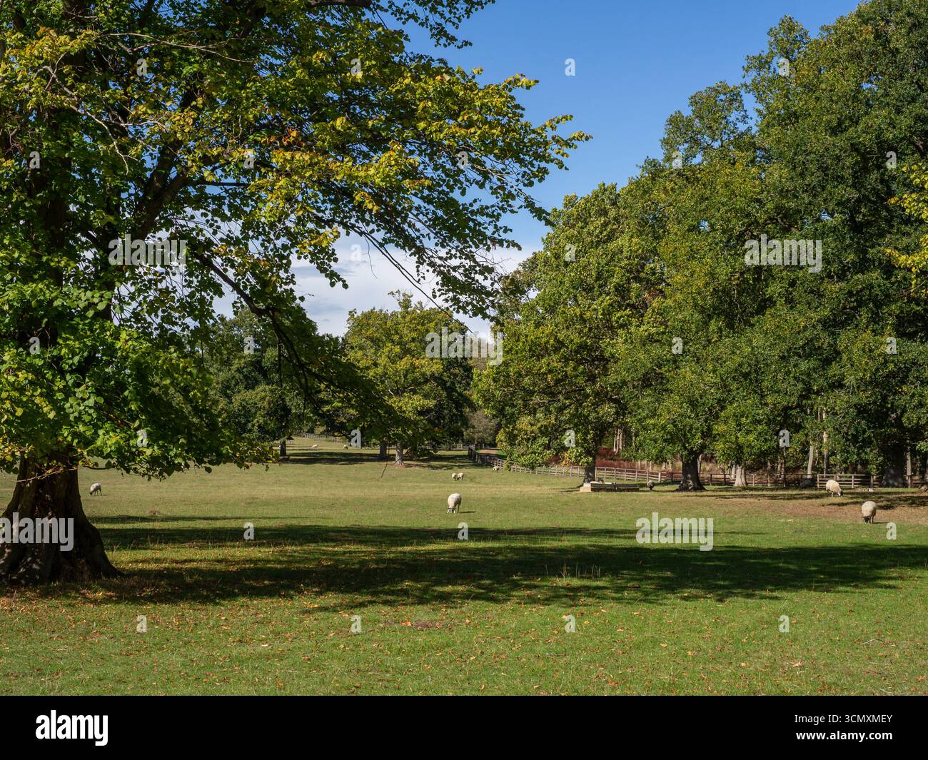 Vista sul parco in estate sulla tenuta Easton Neston House, vicino a Towcester, Northamptonshire, Regno Unito Foto Stock