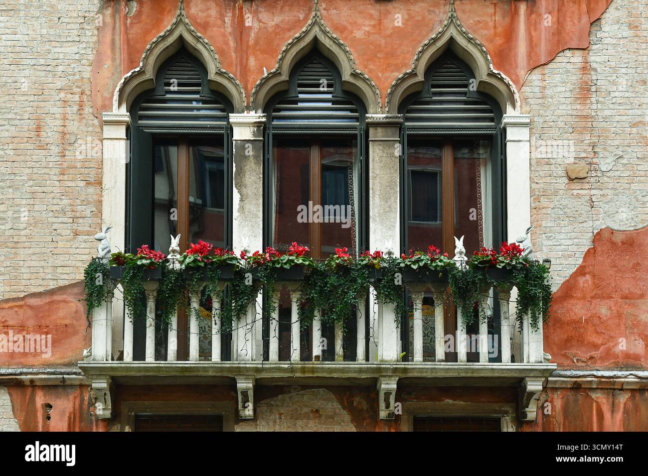 Finestre a tre archi in stile gotico veneziano, decorate con ciclamini rossi e piante a goccia, sulla facciata di un antico palazzo, Venezia, Italia Foto Stock