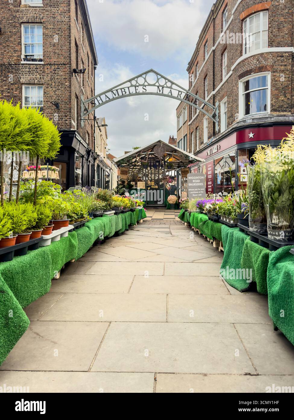 Ingresso al mercato di Shambles a York, Yorkshire, con bancarelle di piante e fiori che fiancheggiano il sentiero. REGNO UNITO Foto Stock