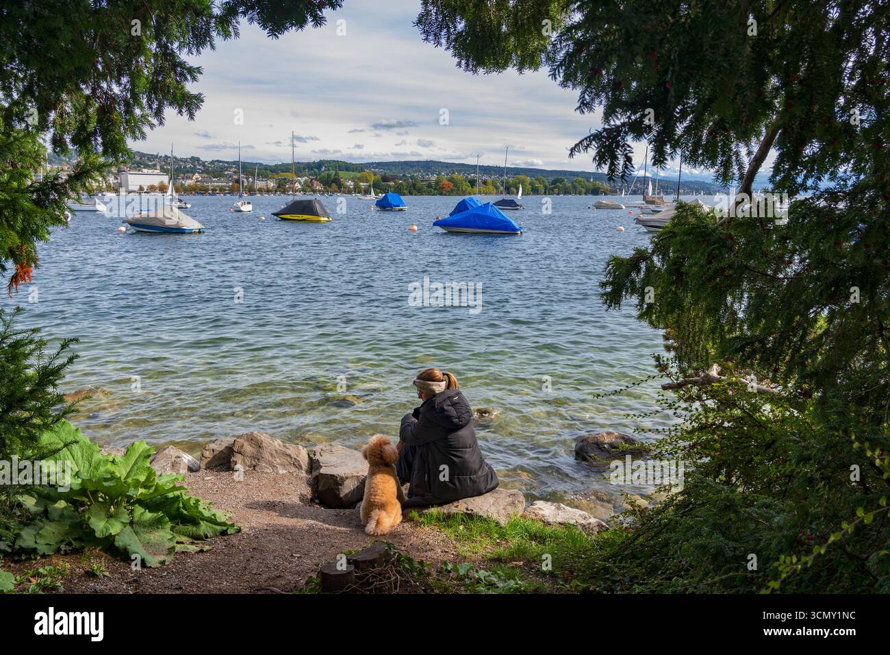 Finestra naturale con vista sul lago di Zurigo (Zurichsee) e donna con il suo cane seduto su una riva di Zurigo, Svizzera. Foto Stock