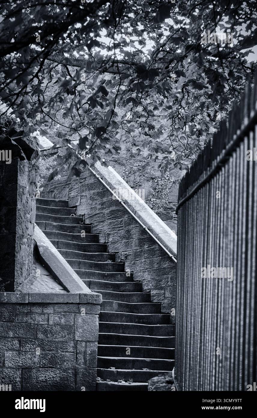 Tonalità e tessuti a contrasto sui gradini dietro il cimitero n. Castello di Stirling: Stirling, Scozia Foto Stock