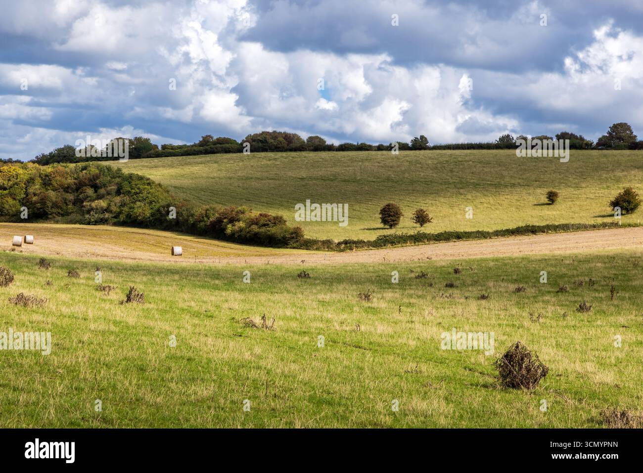 Terreni agricoli a South Downs, in un giorno di settembre soleggiato Foto Stock