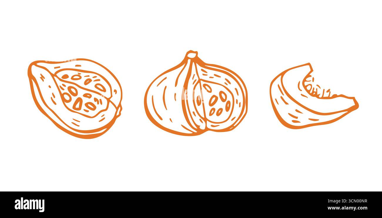 Set illustrativo vettoriale lineare della zucca a fette per la progettazione di cibi, menu, ristorante, vendemmia autunnale, Halloween e decorazione del giorno del Ringraziamento. Disegnato a mano Illustrazione Vettoriale