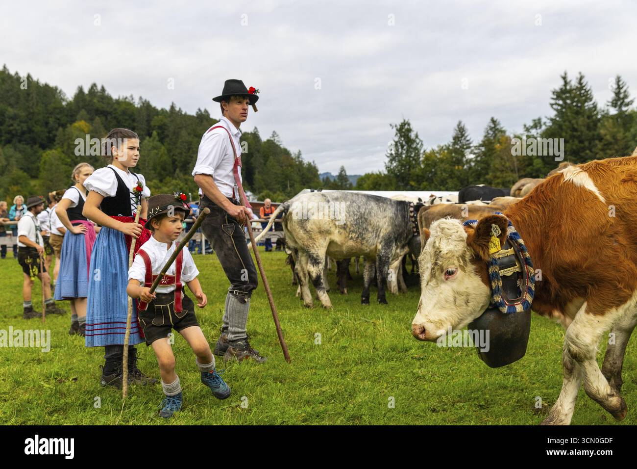 Allevamento di bovini, allevamento di bovini, bestiame domestico (Bovidae), allevatore, bambini, lederhosen, dirndl, costume tradizionale, Oberstdorf, Oberallgae Foto Stock