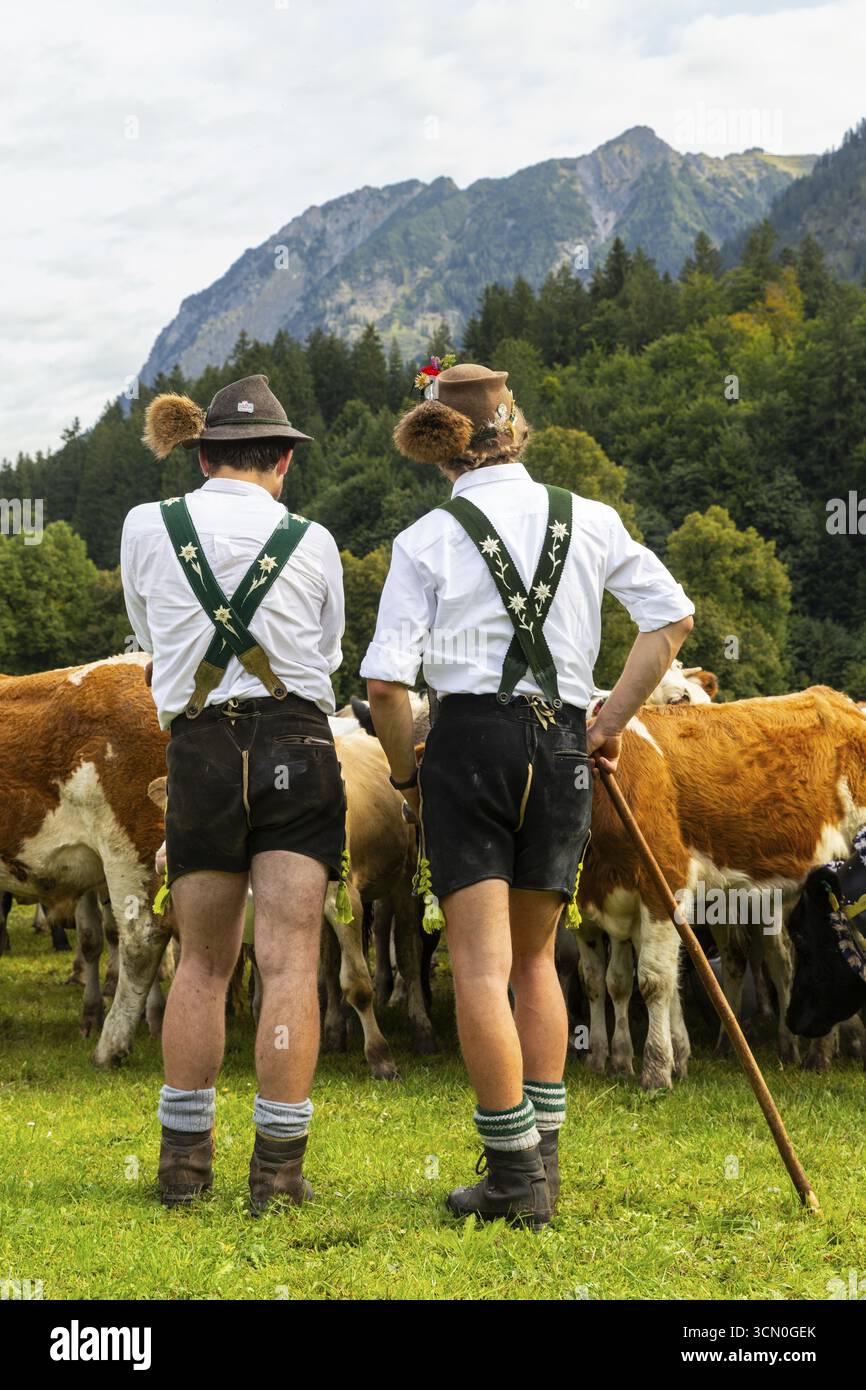 Allevamento di bovini, allevamento di bovini, bovini domestici (Bovidae), allevatori alpini, lederhosen, bretelle, cappello in feltro, barba di camoscio, costume tradizionale, Foto Stock